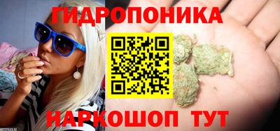 прущие грибы Мариинск