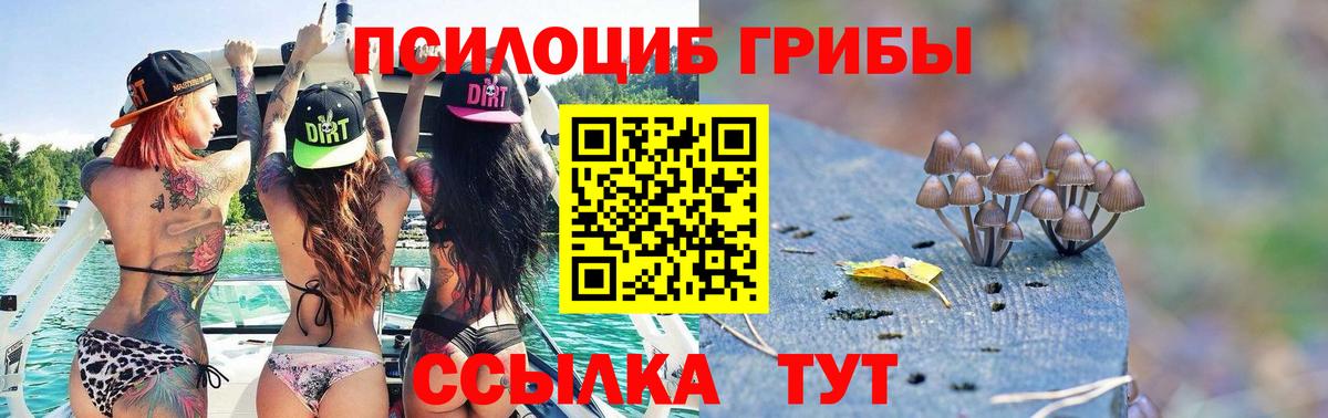 Галлюциногенные грибы MAGIC MUSHROOMS  Вход с VPN  Зеленокумск 